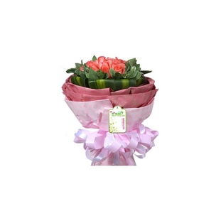 維納斯鮮花 19枝粉玫瑰，獻上情人節甜蜜禮贊