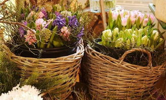 從街頭到世界 93年女孩的另類賣花路，年入400萬，生意遍及40國