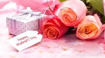 從情人節花卉消費看禮品花卉市場的現狀與趨勢